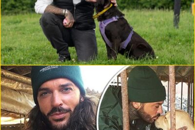 He Heard the Dogs Cry While No One Else Would—Pete Wicks Opens Up on the Secret Rescue That Exposed a Hidden Market and Saved Over 170 Souls