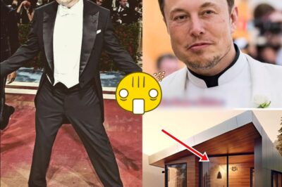 From Billion-Dollar Mansions to a $50,000 Tiny Home: Why Elon Musk Traded Luxury for a Life Measured in Square Feet, Not Status
