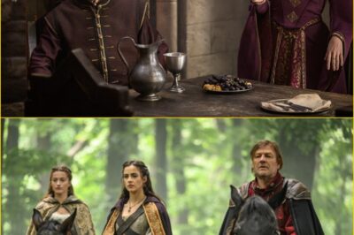 Sean Bean Returns in Robin Hood: A Dark, Epic Reimagining Where the Sheriff of Nottingham Takes Center Stage