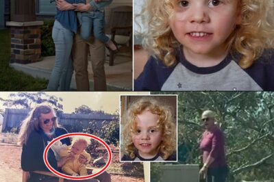The Wait Is Over — and It’s Heartbreaking: Four-Year-Old Gus Found After 15 Days Missing in the Australian Outback
