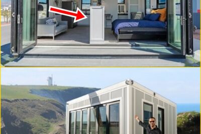 Elon Musk’s $7,999 Tesla Tiny House Just Launched in the U.S. — A Self-Powered, Tax-Free Home That Could Disrupt the Entire Real Estate Industry