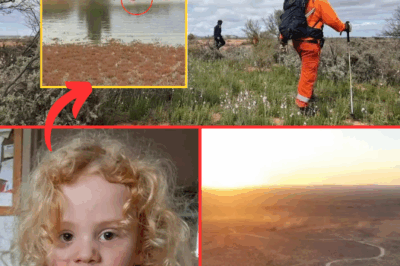 Four-Year-Old Gus May Have Walked 8KM Across the Desert in 3 Days: South Australian Police DRAIN DAM in a Final, Faint Hope to Find the Missing Boy After One Month!