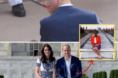 A 24-Year Difference: William and Kate Sit Exactly Where a ‘Forlorn’ Diana Once Sat — What Does the Special Bench Reveal About the Royal Marriage?