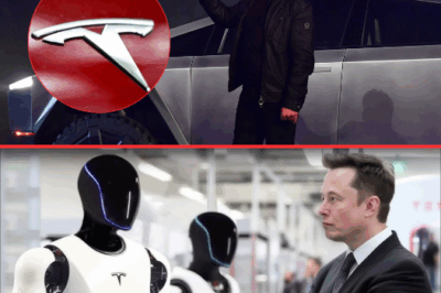 Has Elon Musk Lost Interest in EVs? CEO Claims Tesla is Ready to Abandon Its Focus on Vehicle Production.