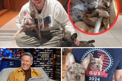 48 HOURS TO LIVE: “The Provocateur” Greg Gutfeld Did the UNTHINKABLE to Save 39 Dogs from Euthanasia—What Did He Say to the Desperate Owner?