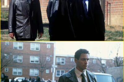 ‘Underrated Masterpiece’ That Sh0cked the World — Fans Are Calling This Drama ‘One of the Best TV Shows Ever Made’ and You Can’t Afford to Miss It