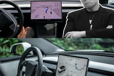 “IT’S FINALLY HAPPENING!” Elon Musk Confirms Tesla Full Self-Driving v14 Release — But His New Details Change Everything About What We Expected!