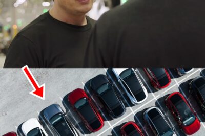 Tesla Strikes Back! In a Bold First Move to Counter the $7,500 EV Tax Credit Loss, Elon Musk’s Company Rolls Out Aggressive Strategy to Keep Buyers Hooked, Investors Guessing, and Rivals on Edge