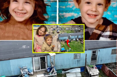 Netflix C.ri.me Documentary Sh0ck: The Nova Scotia Case Where Two Siblings Vanish and the Investigation Takes a Terrifying Turn