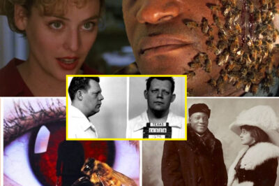Forget the Legend — The Real Candyman Horror Came From a True Chicago M.ur.der That Will Haunt You Forever