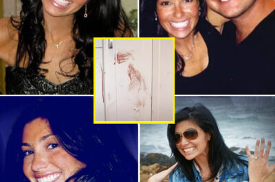 20 St@b W0unds, Vanishing Evidence, Conflicting Autopsies — Netflix’s Darkest Unsolved Case in 13 Years