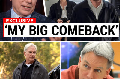 Mark Harmon Is Back on NCIS — And the Internet Is Going Absolutely Wild