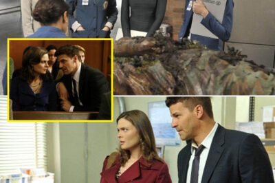 🔥 M^rder. Memory. Mystery. The H@unting Return of Bones That No One Saw Coming