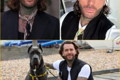 “HE’S NOTHING LIKE PAUL — AND THAT’S EXACTLY WHY WE LOVE HIM” — The Untold Story of Pete Wicks: The Fierce Heart, the Quiet Pain, and the Man Who Turns His Scars Into Strength