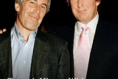 Trump’s History With Jeffrey Epstein: Here’s The Full Timeline!