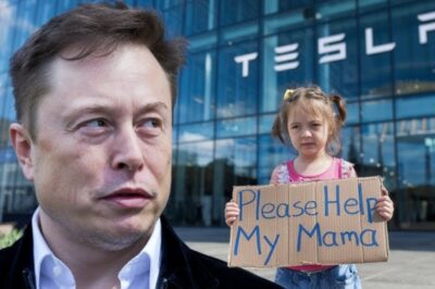 HOMELESS GIRL BEGS ELON MUSK TO SAVE HER D-YING PREGNANT MOM — WHAT HE DISCOVERED CHANGED EVERYTHING