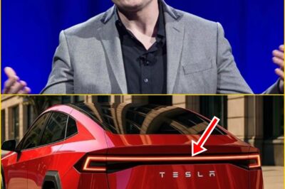 THE CAR THAT NEVER CHARGES — AND THINKS FOR ITSELF?” ELON MUSK REDEFINES THE FUTURE OF DRIVING