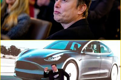 “I’VE TRIED TO WARN THEM!” — Elon Musk Claims Tesla Rivals Are Ignoring Its Game-Changing Self-Driving Technology, Warning the Industry They’re Already Falling Behind