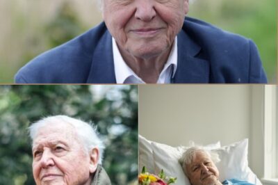 “I’VE SEEN THE EARTH HEAL… BUT WHO HEALS ME?” — As Sir David Attenborough Nears 100, Britain’s Most Beloved Voice Faces His Hardest Truth Yet: “I’m Scared I’ll Become Helpless — and Forget Everything I Love”