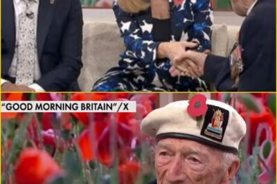 “BRITAIN BETRAYED US!” — WW2 Veteran, 99, Breaks Down on Live TV Saying He “No Longer Recognises the Country He Fought For”… and the Nation Falls Silent