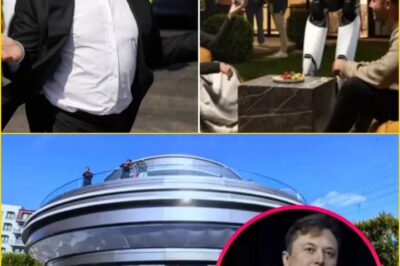 THE DAY WASHINGTON STOPPED AND STARED: ELON MUSK UNVEILS AMERICA’S FIRST FULLY ROBOT-RUN RESTAURANT — AND NOTHING ABOUT DINING WILL EVER BE THE SAME AGAIN