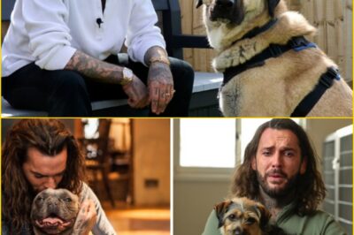 “MY HEART IS BREAKING” — Pete Wicks in Tears as His Beloved Rescue Dog Battles a Fatal Illness, Leaving Fans Desperate for a Miracle