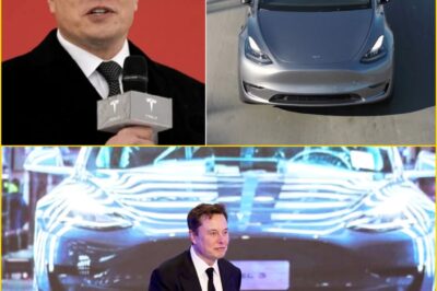 WHAT MUSK AND TESLA ARE REVEALING ABOUT FULL SELF-DRIVING — Weeks From a Major De-adline, the Auto Industry Braces for a Groundbreaking Shift