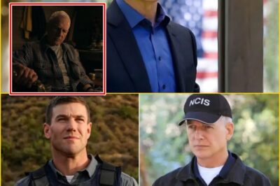 MARK HARMON RETURNS AS GIBBS! NCIS Universe Joins Forces in Epic Veterans Day Crossover That Fans Have Been Begging For Years