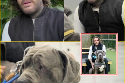 “HE COULDN’T HOLD BACK THE TEARS…” — Pete Wicks’ World Falls Apart After His Beloved Dog Receives a Heartbreaking Diagnosis That No Owner Ever Wants to Hear
