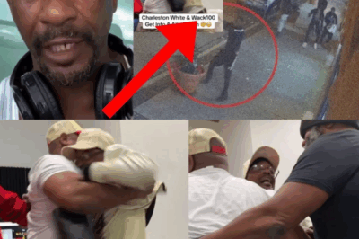 Wack 100 & Charleston White CLASH LIVE On Adin Ross Stream w/ 6ix9ine & Akademiks Watching!