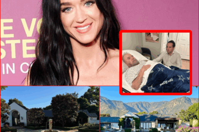 KATY PERRY WINS LAWSUIT! — 85-YEAR-OLD DISABLED VETERAN ORDERED TO PAY NEARLY $2 MILLION OVER MONTECITO MANSION