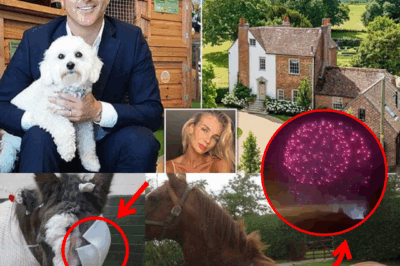 Pet Shop Tycoon Turns Bonfire Night into Disaster — One Horse Put D0wn, Entire Village Outraged