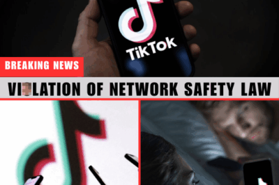Vi0l@tion Of Network Safety Law: TikTok Algorithm Accused Of ‘Searching For S.3.xual Proposals’ For Minors’ Accounts