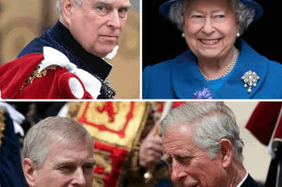 Andrew Mountbatten Windsor’s Name Is Set For A New Change: The Late Queen’s Final Gift To The Man Who Tainted The Royals Mountbatten Windsor’s Name Is Set For A New Change: The Late Queen’s Final Gift To The Man Who Tainted The Royal