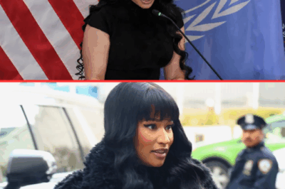 Nicki Minaj delivered a passionate speech at the United Nations