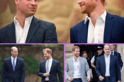 Buckingham Palace Issues Latest Update on William and Harry Relationship: ‘Positive Signs’ Are Beginning to Emerge