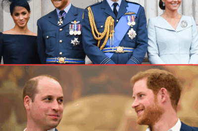 Prince William is willing to reconcile with Harry, but with an extremely surprising condition