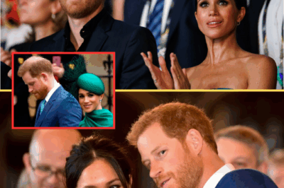 Harry’s Fear: He Predicted Meghan Would “Drown” Under Royal Pressure