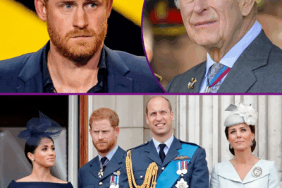 Harry SLAMS William And Kate Over “Constant Stereotyping” Of Meghan!