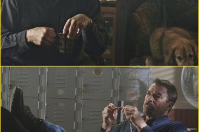 Hollywood ERUPTS with Rumors: Tom Selleck’s Return as Jesse Stone Might Mark the Most Emotional Farewell in TV History — ‘The Case That Ha-unts Him Still…’