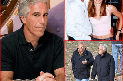 EPSTEIN PR EXPOSÉ! — Documents Reveal He Was Told to Avoid Prince Andrew to Save His Reputation