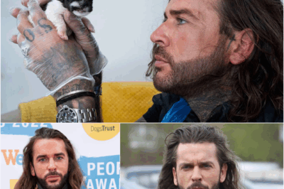PETE WICKS STUNS FANS! — From Reality TV Heartthrob to BBC Quiz & Antiques Master