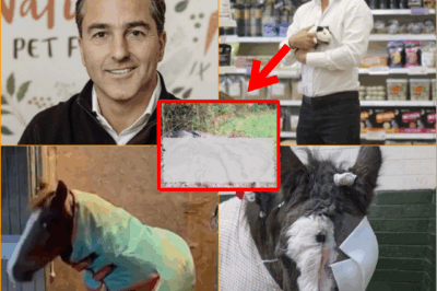 🔥 NO REMORSE! Pet Shop Tycoon Clashes With Neighbours Over Fireworks That Kill3d a Horse