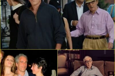 HOLLYWOOD IN SH0CK! Woody Allen Drops UNEXPECTED BOMBSHELL — Blows the Epstein Scandal WIDE OPEN and Names the Untouchables!