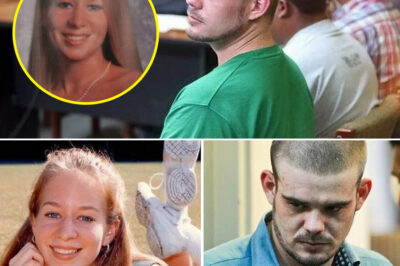 Netflix Reopens the Natalee Holloway Mystery — The Chilling True-Crime Series That Leaves Viewers Shaken 20 Years Later