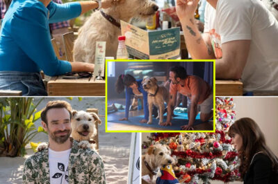 Prime Video’s Sweetest Holiday Surprise: Zooey Deschanel & Charlie Cox’s Rom-Com Is the Feel-Good Hit Nobody Expected