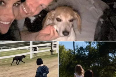 The Special Witness To Harry And Meghan’s Historic Proposal Has Suddenly Passed Away