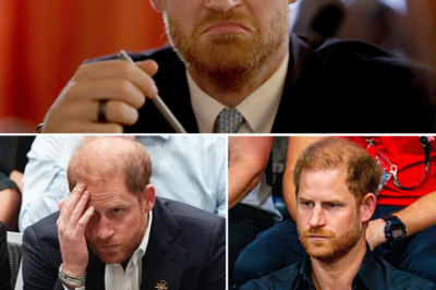 “Get Out Of My Way”: Harry Sparks Fury By Shouting Directly At A Miserable Elderly Man Who Was Begging For A Final Wish For His Sick Wife At Home