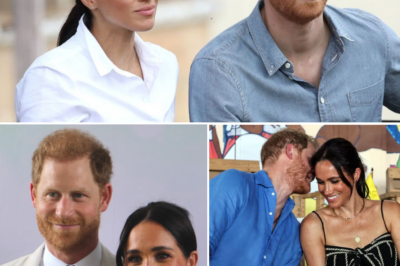 A Series Of Speculations Regarding A Toxic Working Environment And Management Instability Within The Sussex Household Have Surfaced After A Wave Of Senior Staff Members Abruptly Resigned