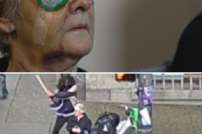 Tragedy in Seattle: 75-year-old woman blinded after being stru-ck with a wooden stick studded with nails by a perp3trator with six pr!or c0nvictions for ass@ult!